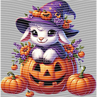 Halloween-WS 5778